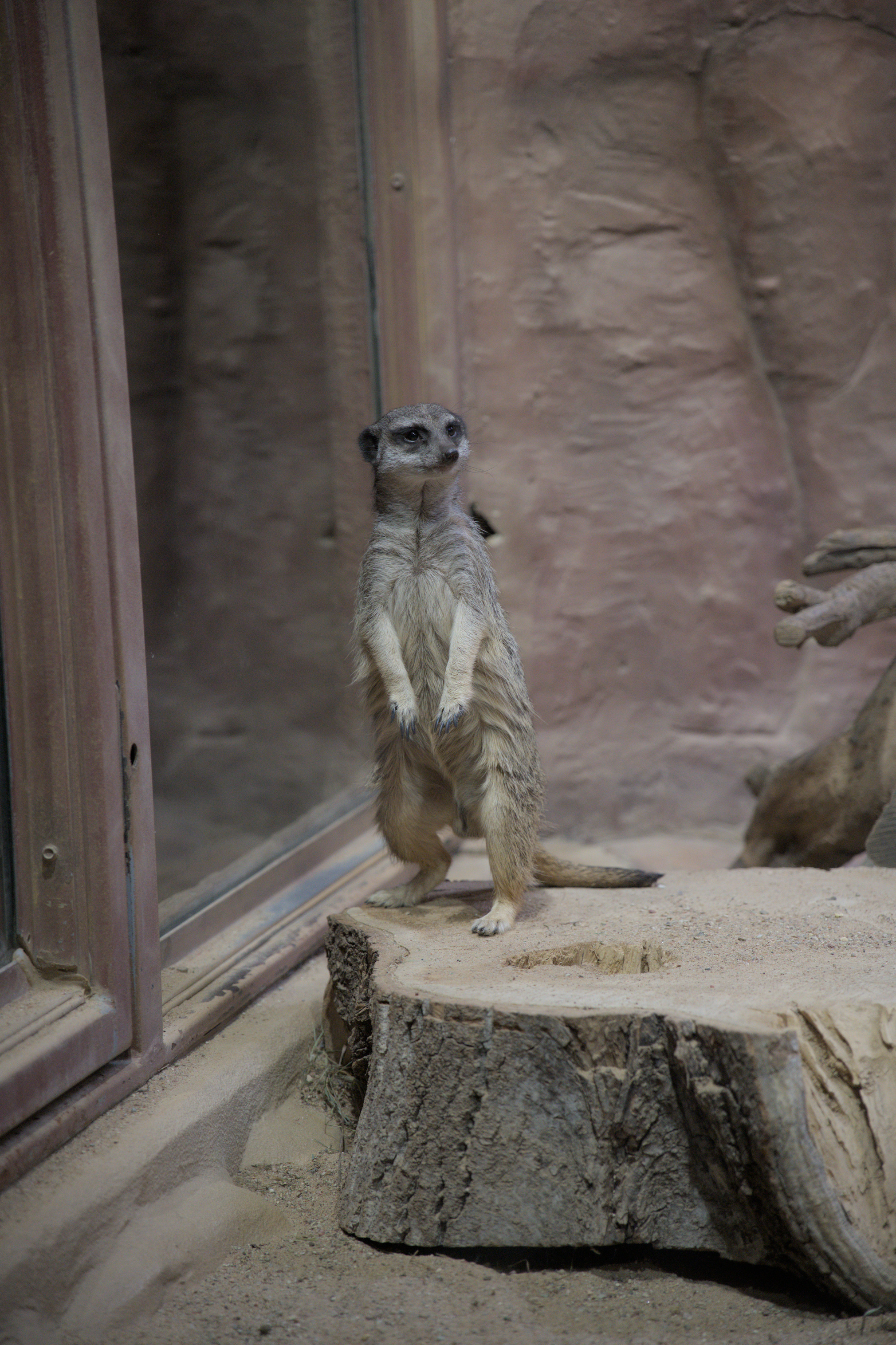 2025/10/12 - zoo/DSC_0333.jpg
